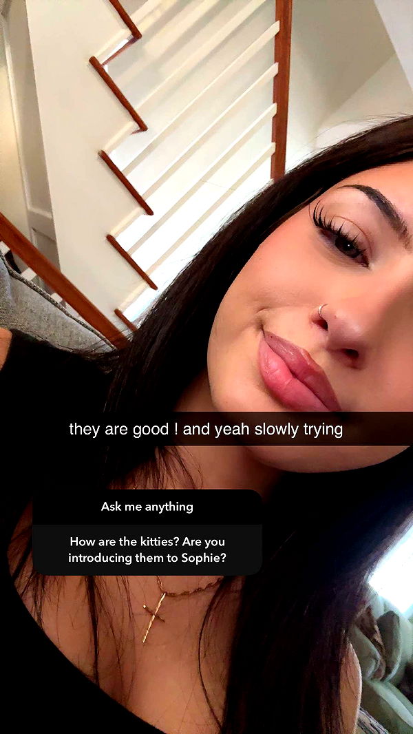 lew12001 image ~ Altpins