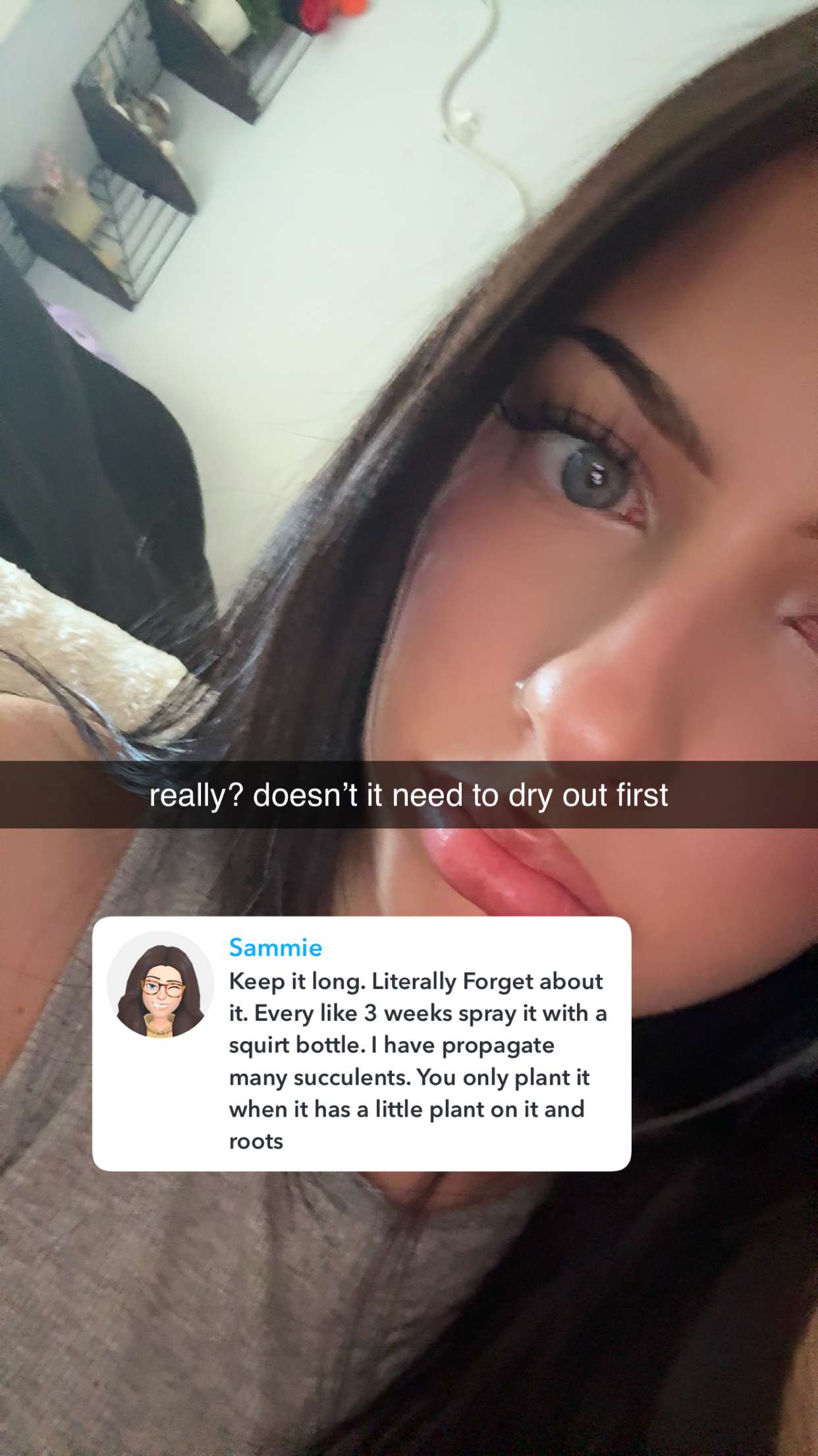 lew12001 snapchat image archive image