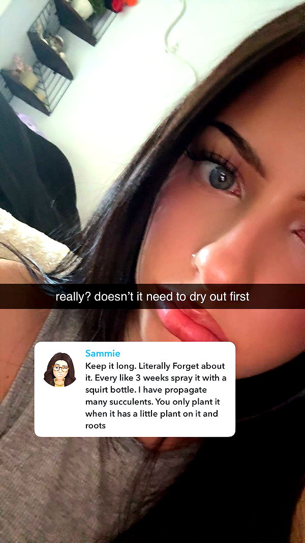 lew12001 image ~ Altpins