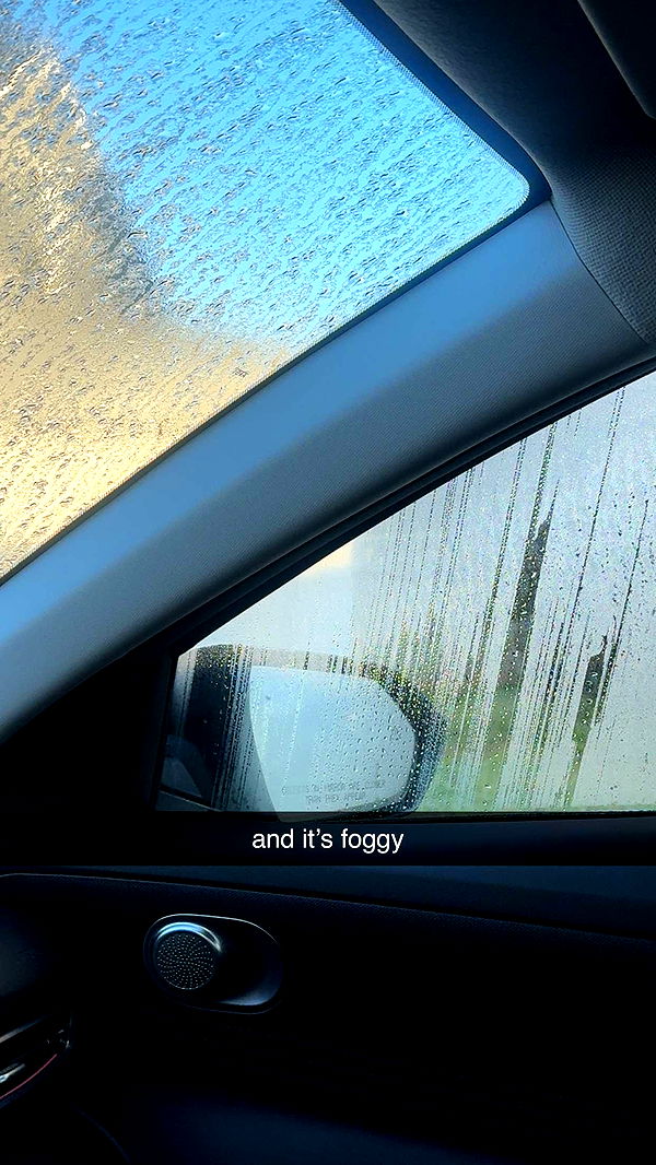 lew12001 image ~ Altpins