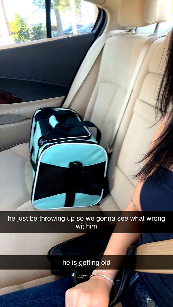 lew12001 image ~ Altpins