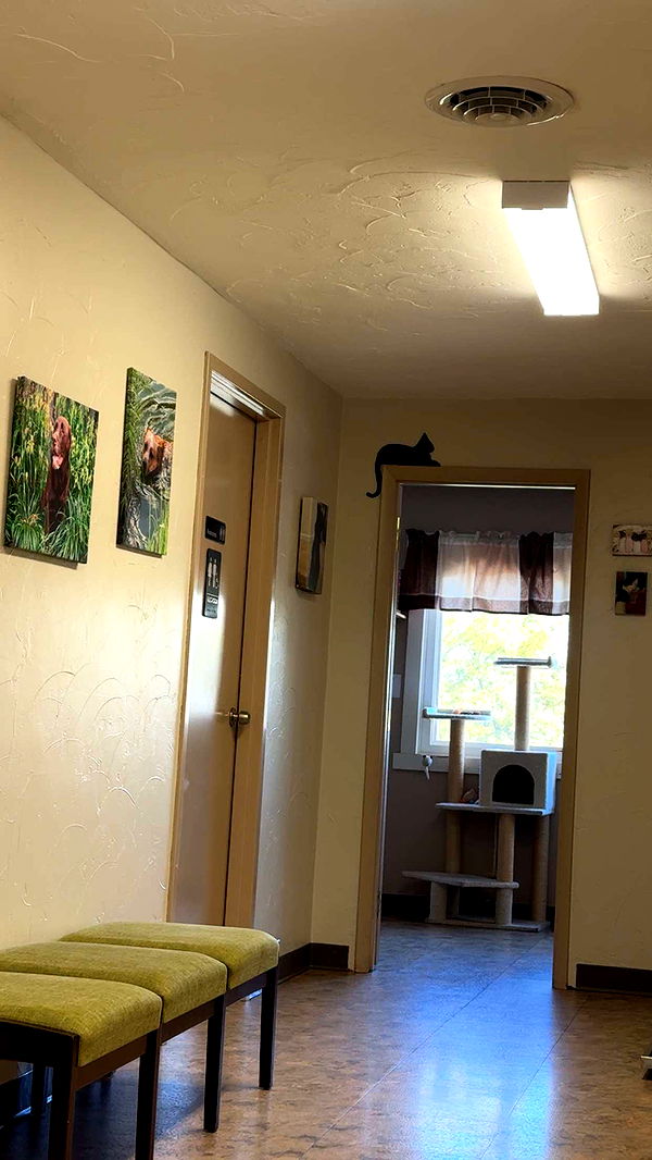 lew12001 image ~ Altpins