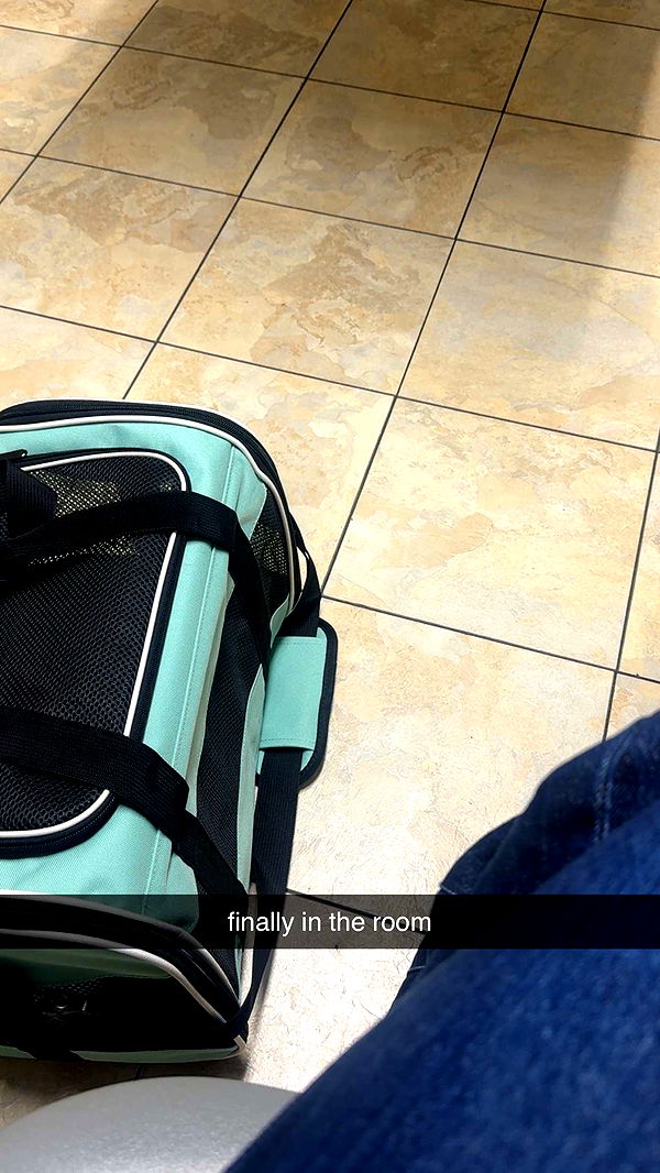 lew12001 image ~ Altpins