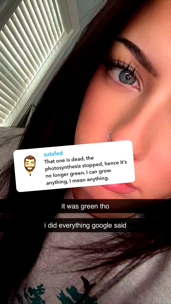 lew12001 image ~ Altpins