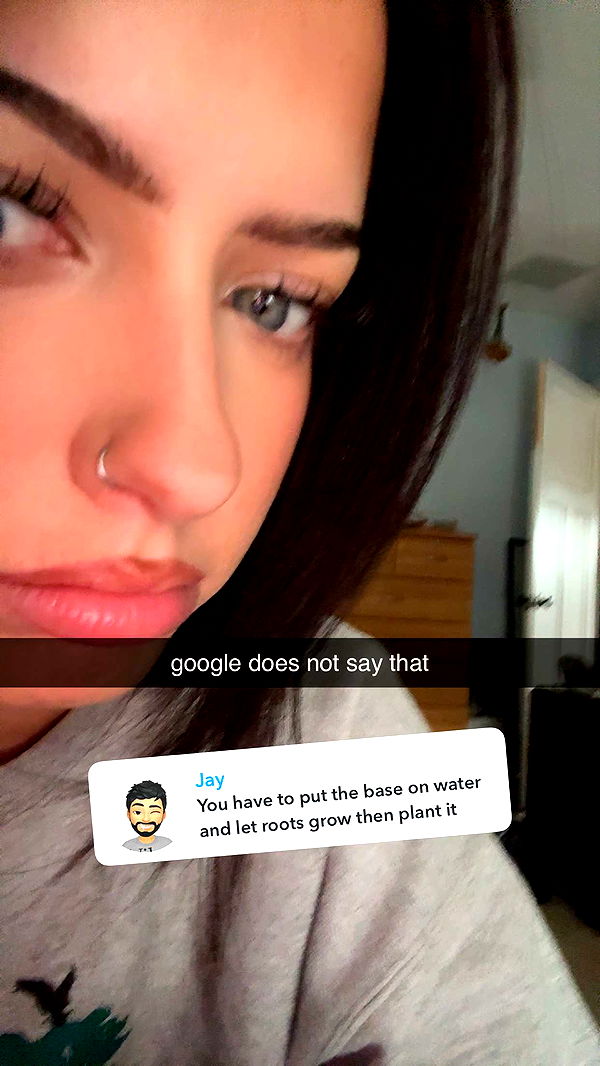 lew12001 image ~ Altpins