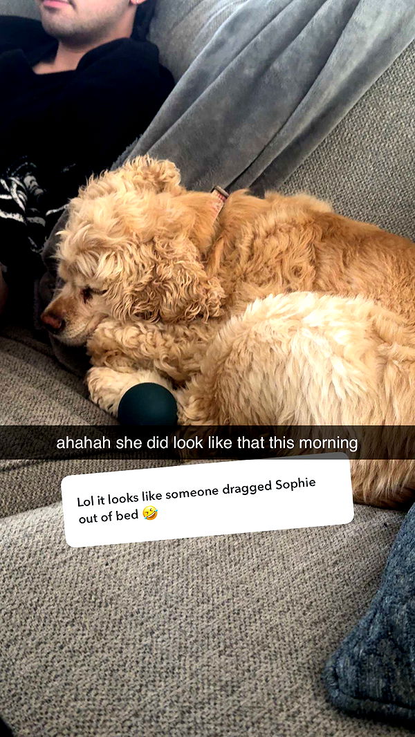 lew12001 image ~ Altpins