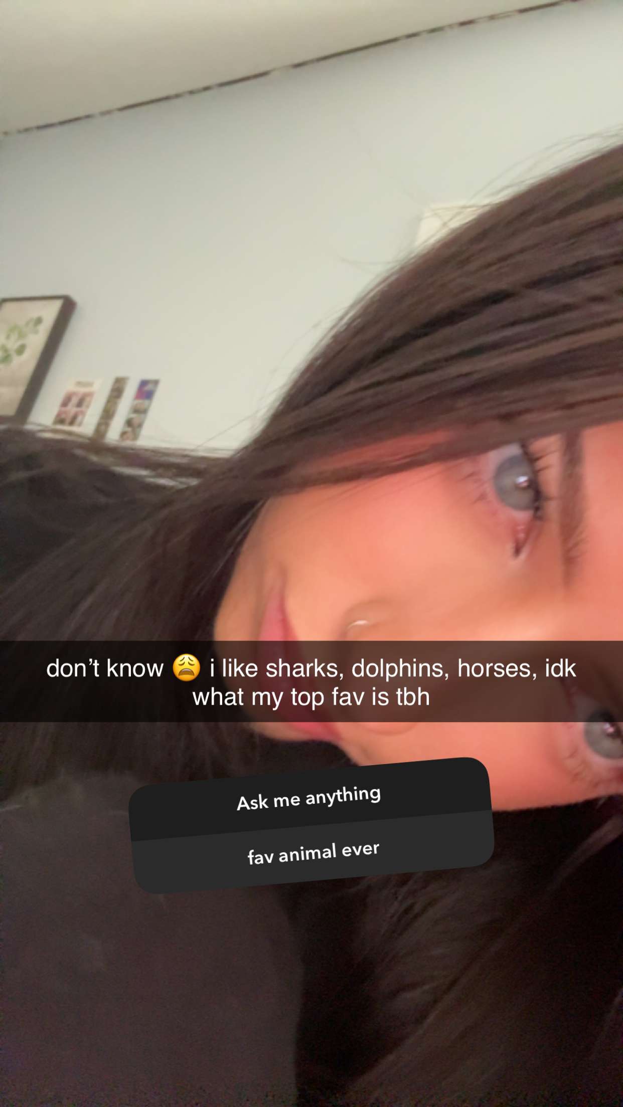 lew12001 snapchat image archive image