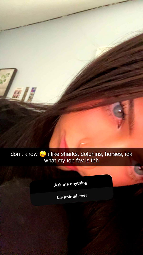 lew12001 image ~ Altpins