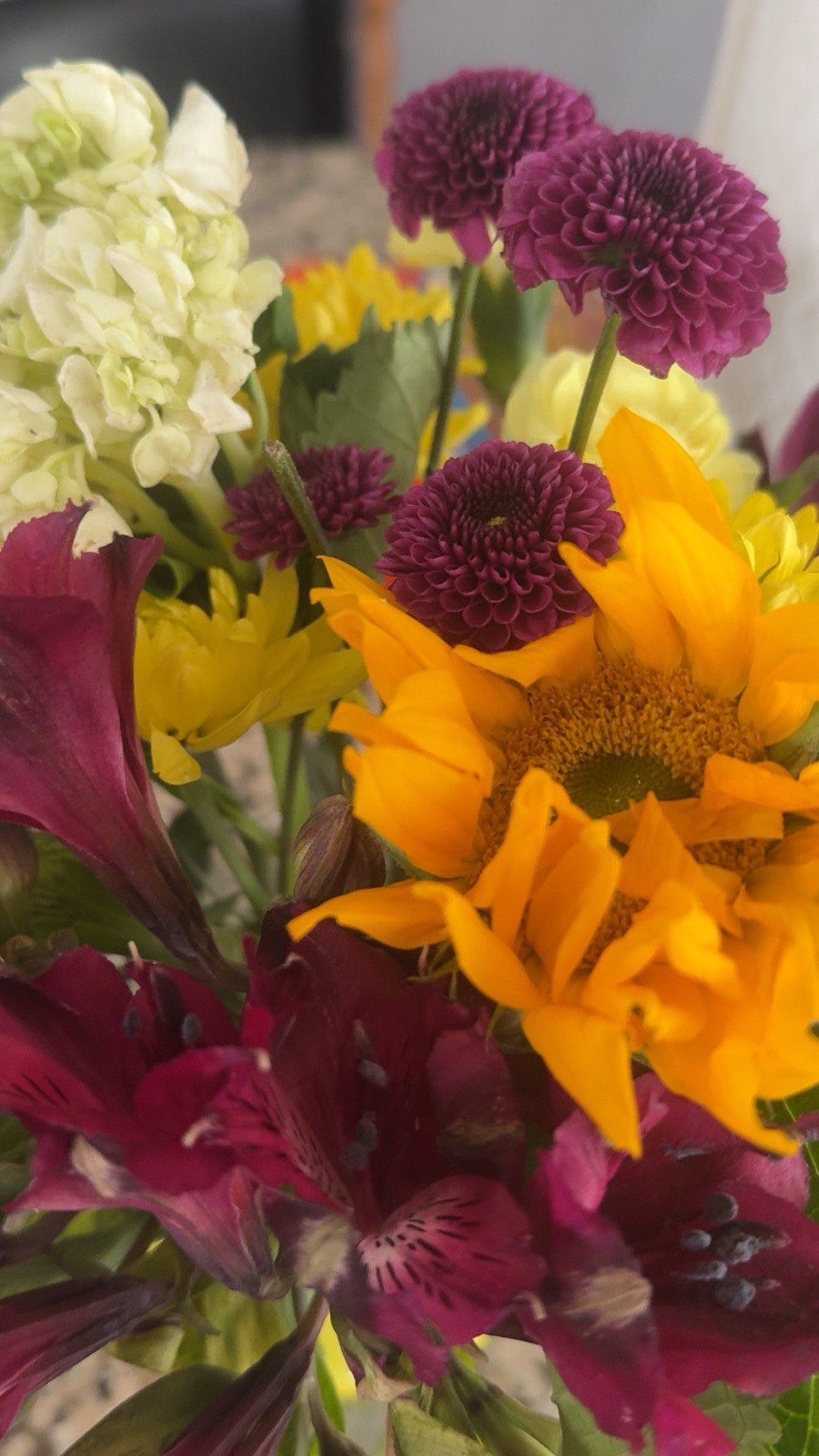 lew12001 snapchat image archive image