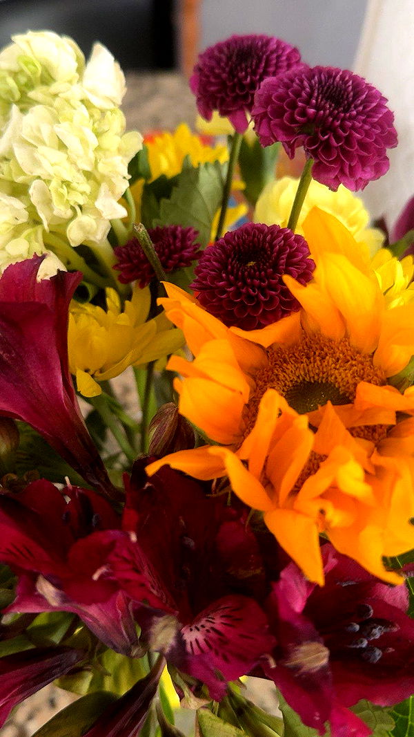 lew12001 image ~ Altpins