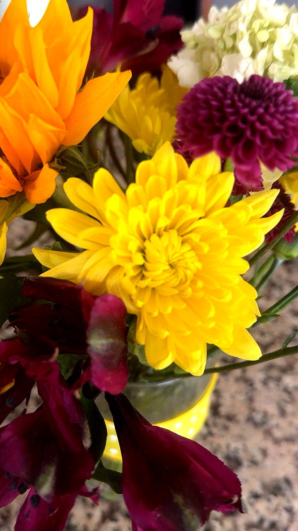 lew12001 image ~ Altpins