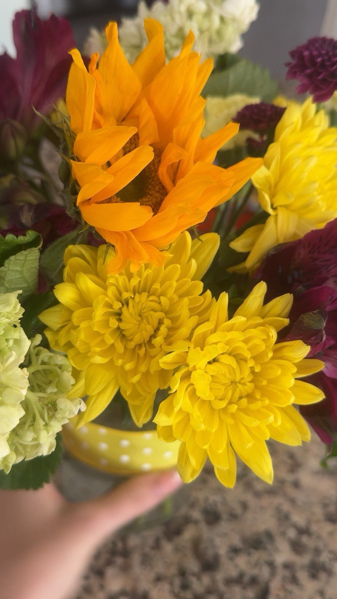 lew12001 snapchat image archive image