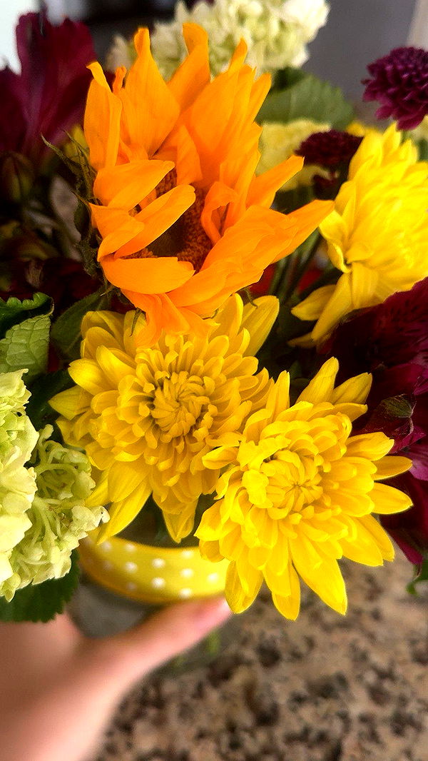 lew12001 image ~ Altpins