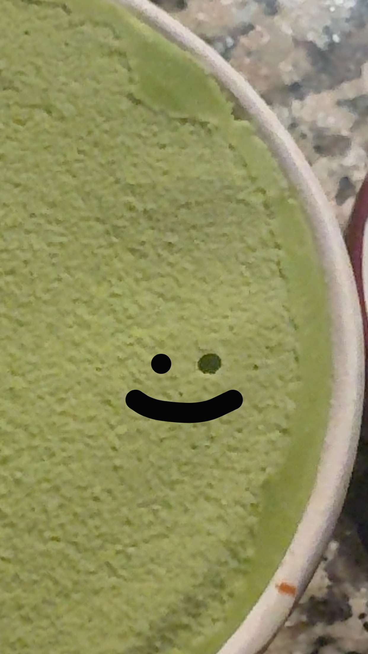 lew12001 snapchat image archive image