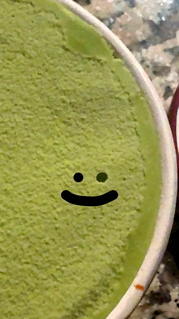 lew12001 image ~ Altpins