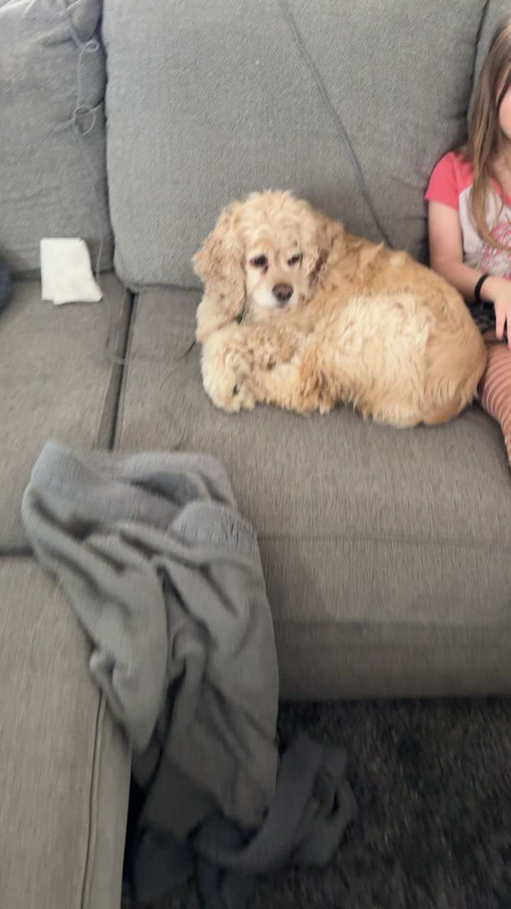 lew12001 snapchat image archive image