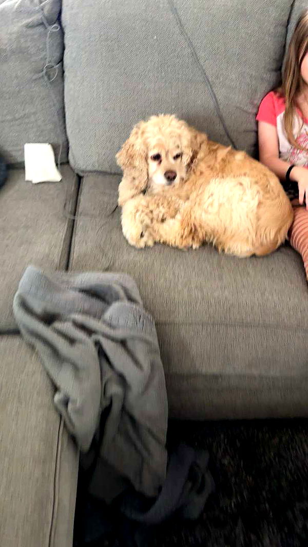 lew12001 image ~ Altpins