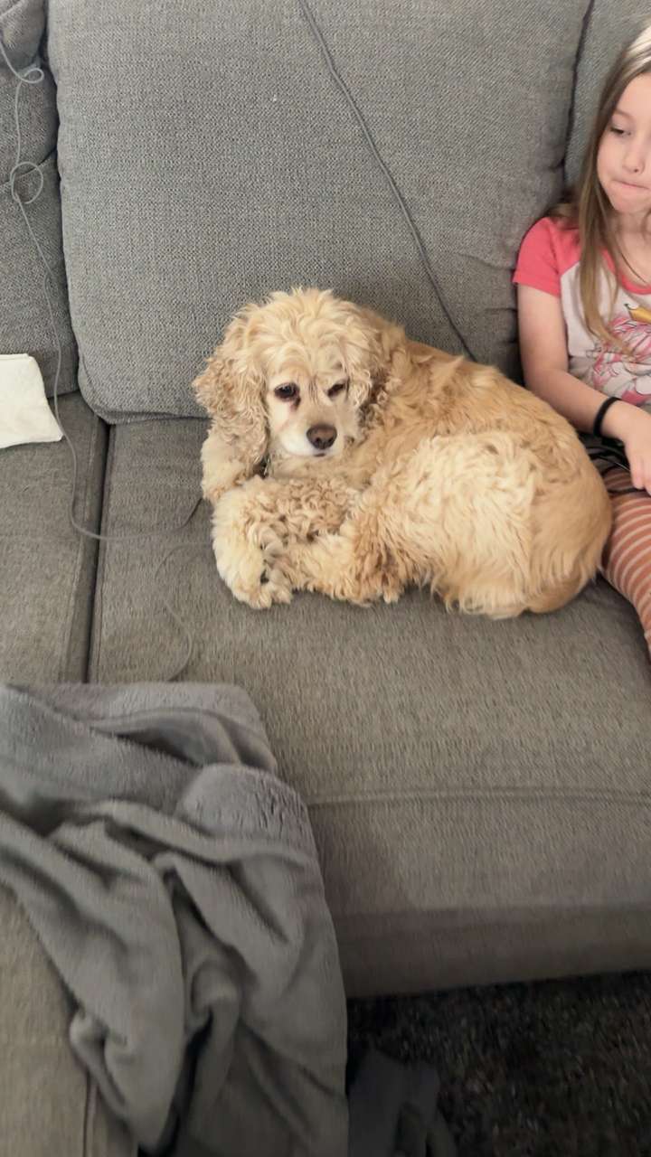 lew12001 snapchat image archive image