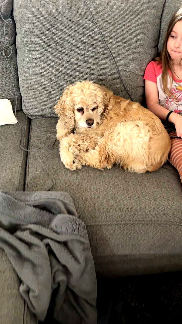 lew12001 image ~ Altpins