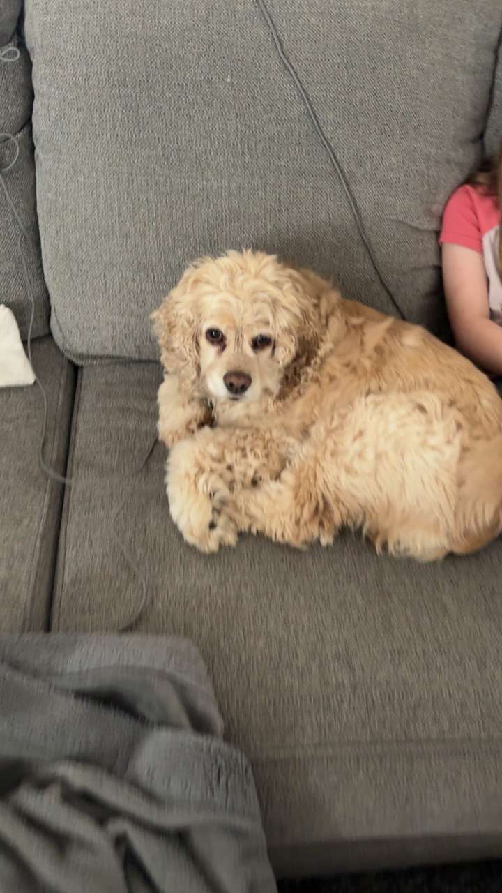 lew12001 snapchat image archive image