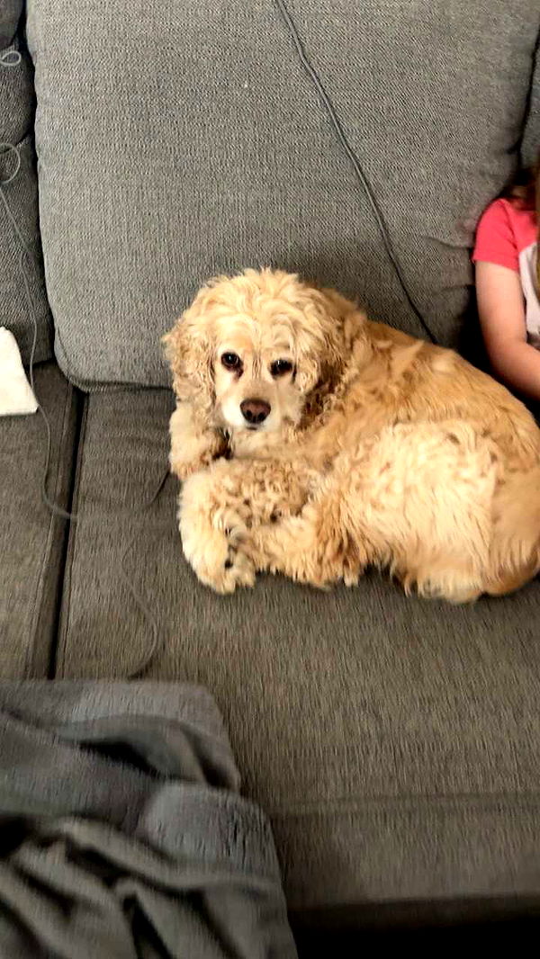 lew12001 image ~ Altpins