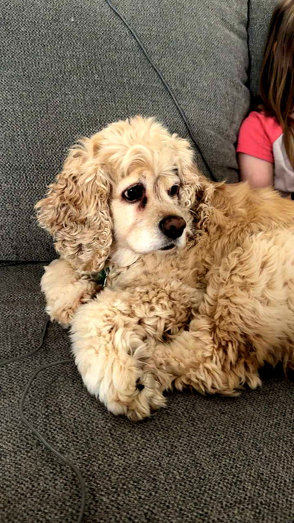 lew12001 image ~ Altpins