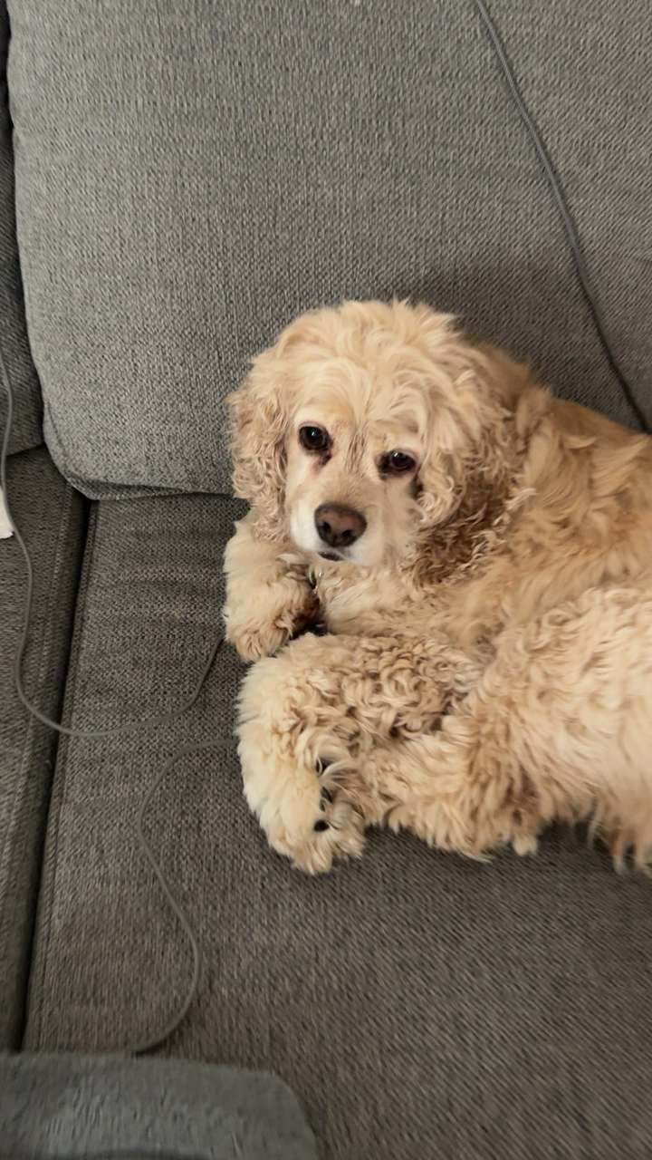 lew12001 snapchat image archive image