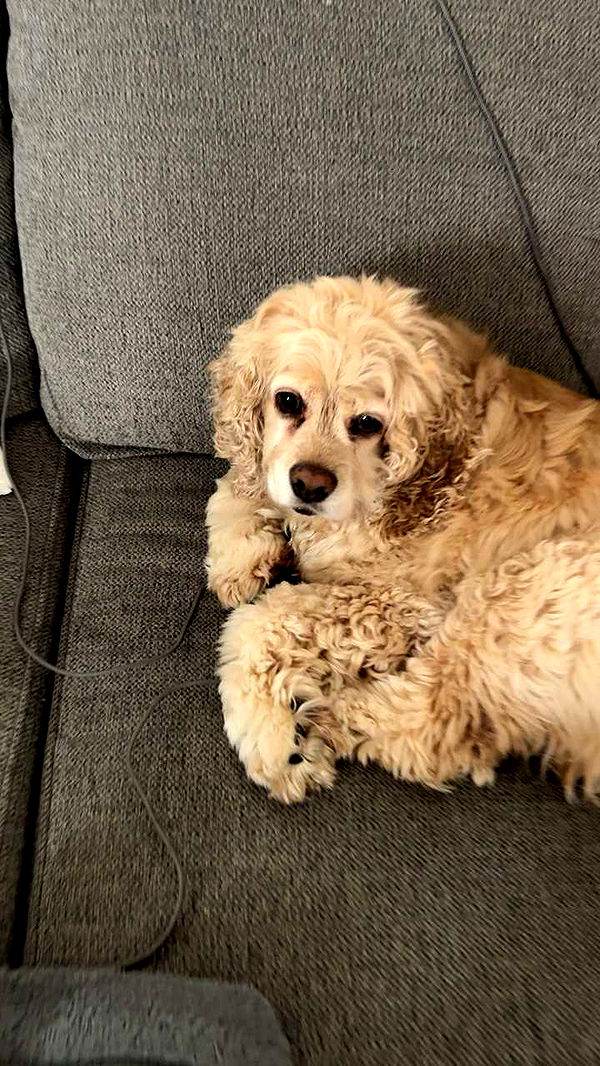 lew12001 image ~ Altpins