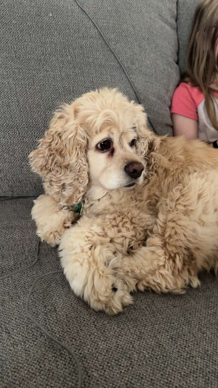 lew12001 snapchat image archive image