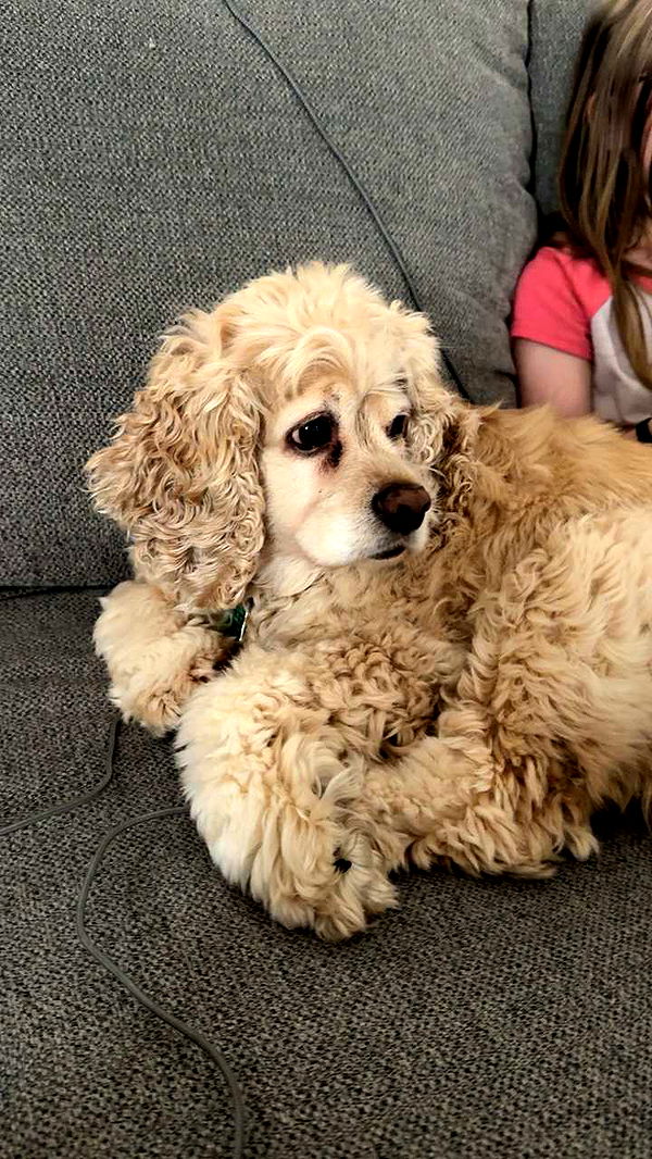 lew12001 image ~ Altpins