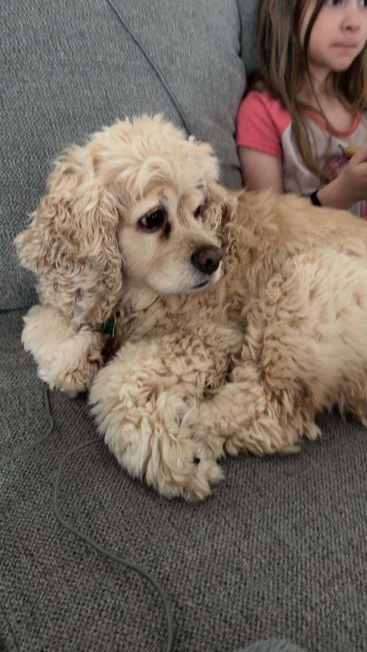 lew12001 snapchat image archive image