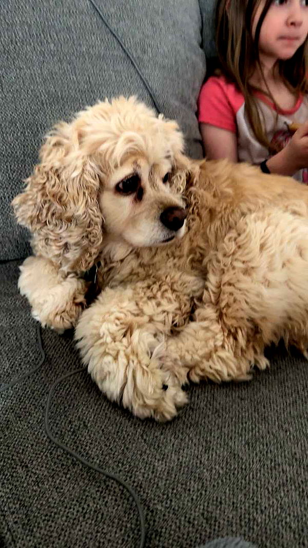 lew12001 image ~ Altpins