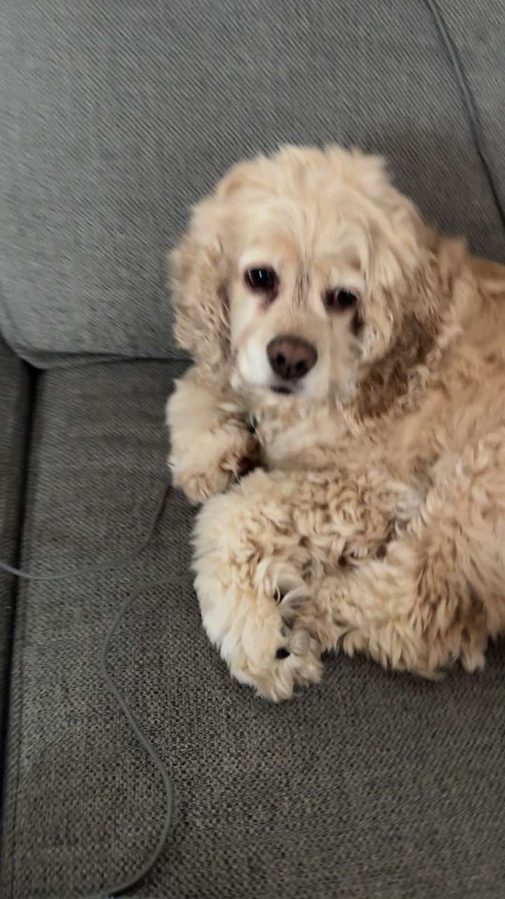 lew12001 snapchat image archive image