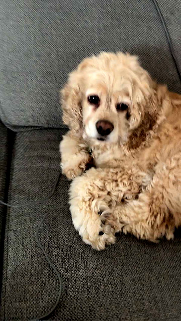 lew12001 image ~ Altpins