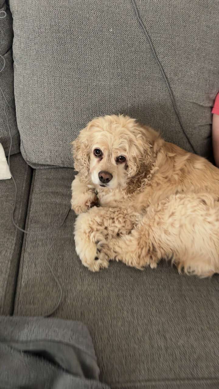 lew12001 snapchat image archive image