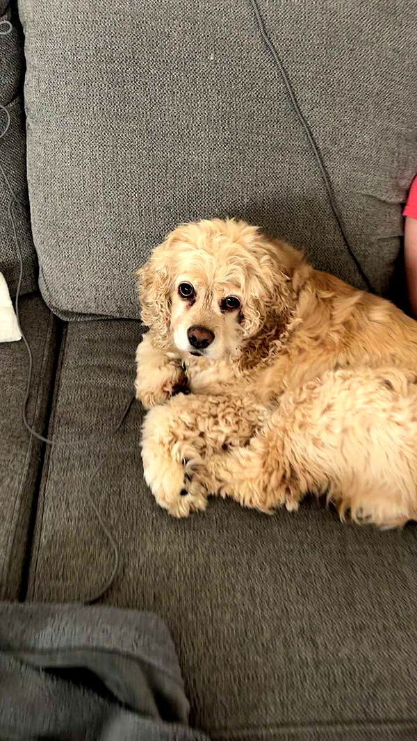 lew12001 image ~ Altpins