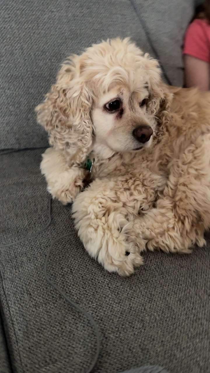 lew12001 snapchat image archive image