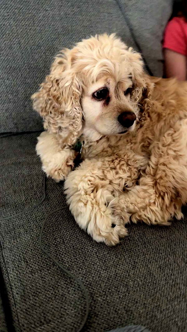 lew12001 image ~ Altpins