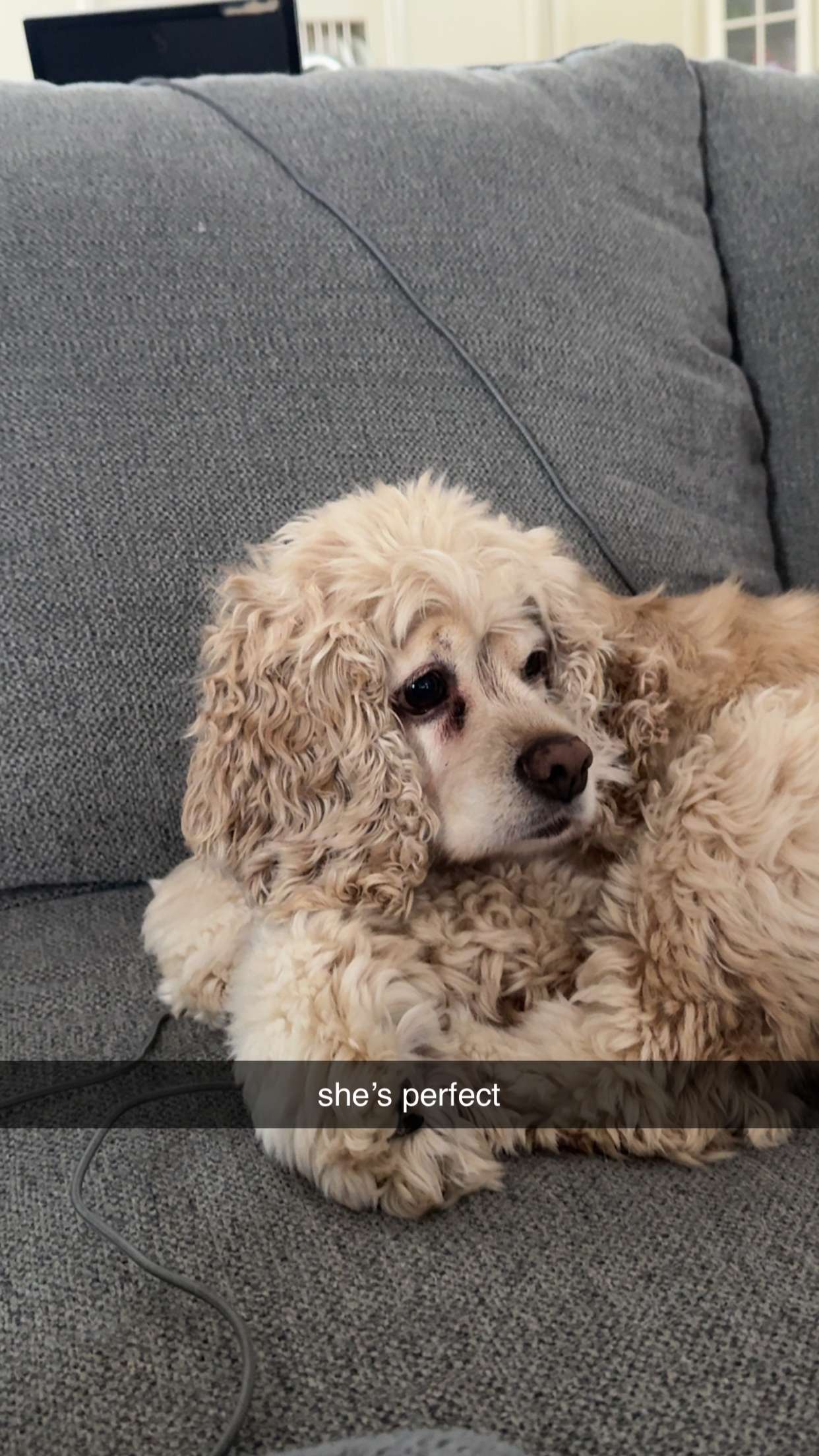 lew12001 snapchat image archive image