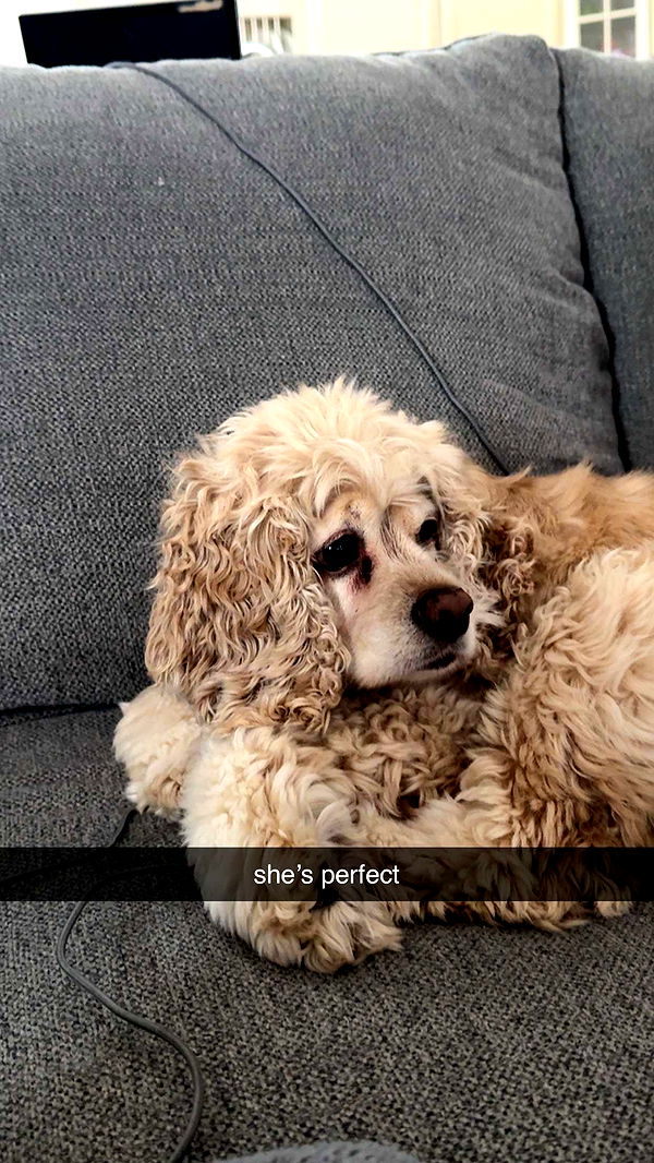 lew12001 image ~ Altpins