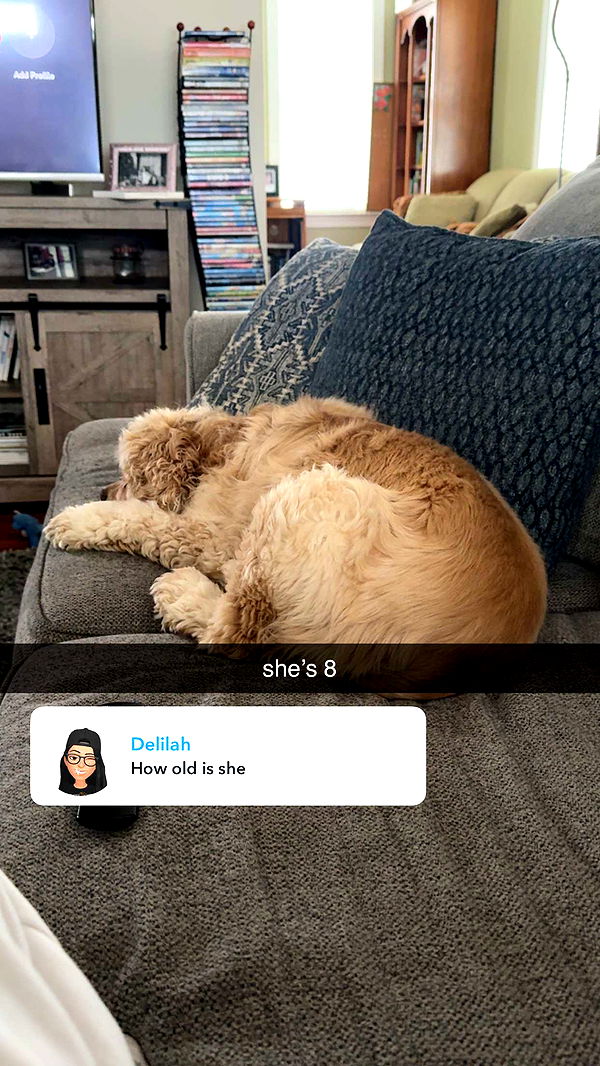 lew12001 image ~ Altpins