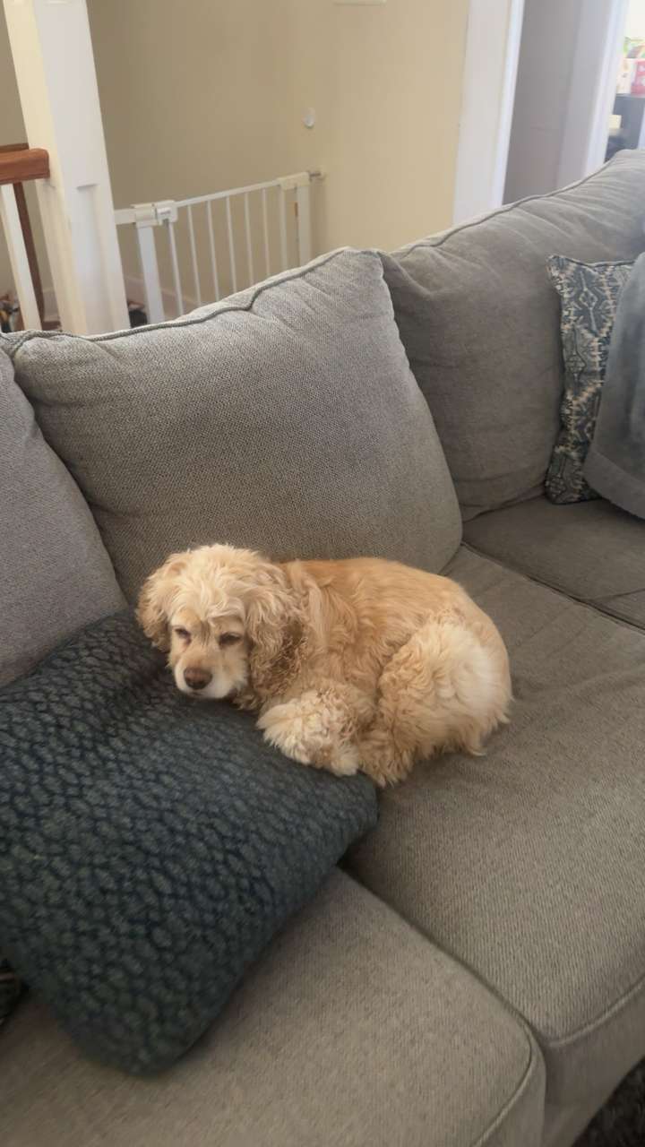 lew12001 snapchat image archive image