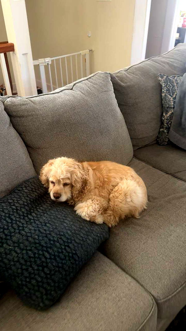 lew12001 image ~ Altpins