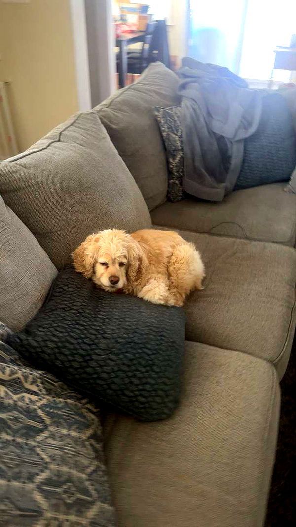 lew12001 image ~ Altpins