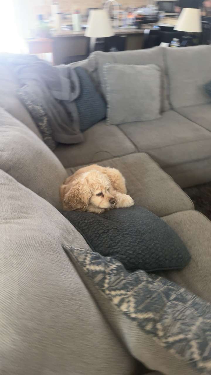 lew12001 snapchat image archive image