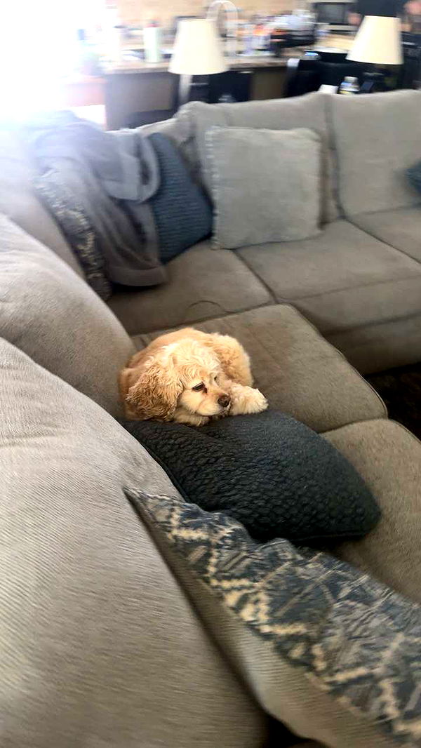 lew12001 image ~ Altpins