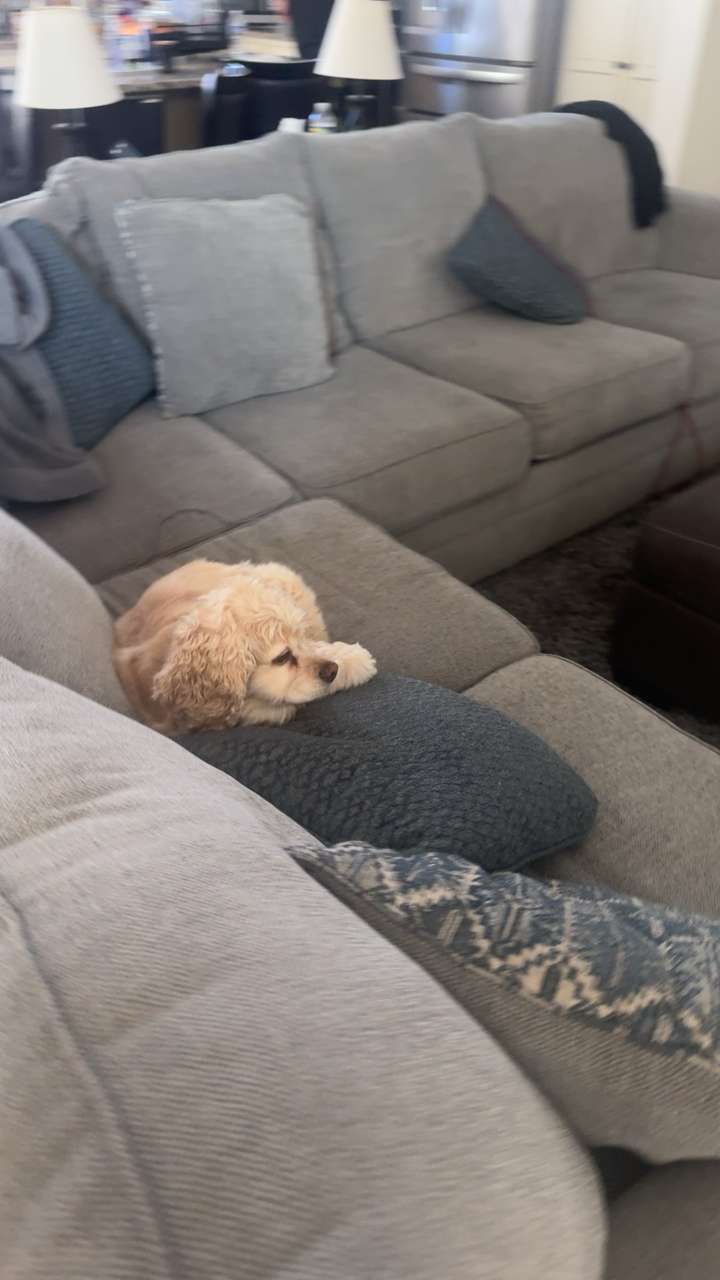 lew12001 snapchat image archive image