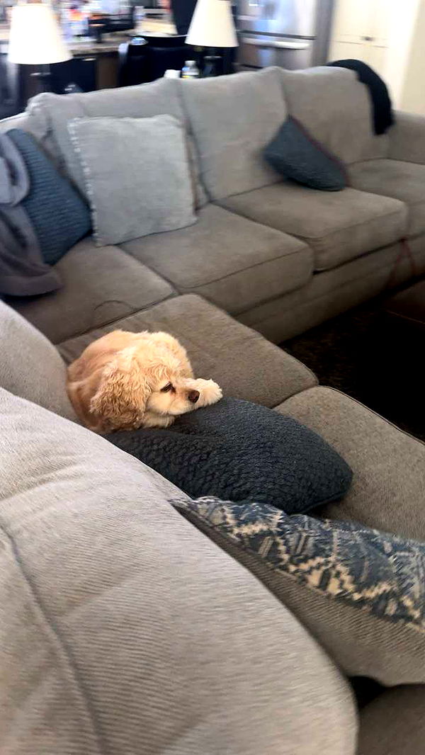 lew12001 image ~ Altpins