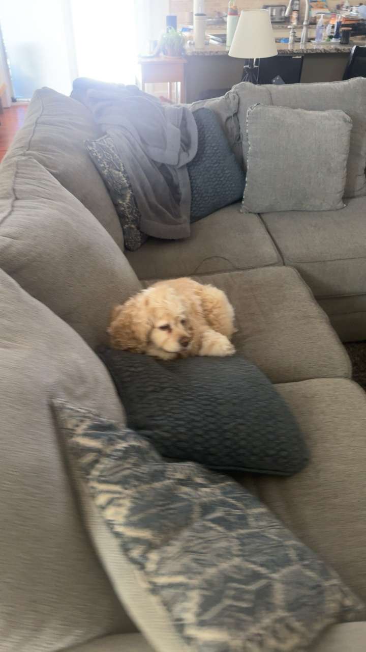 lew12001 snapchat image archive image