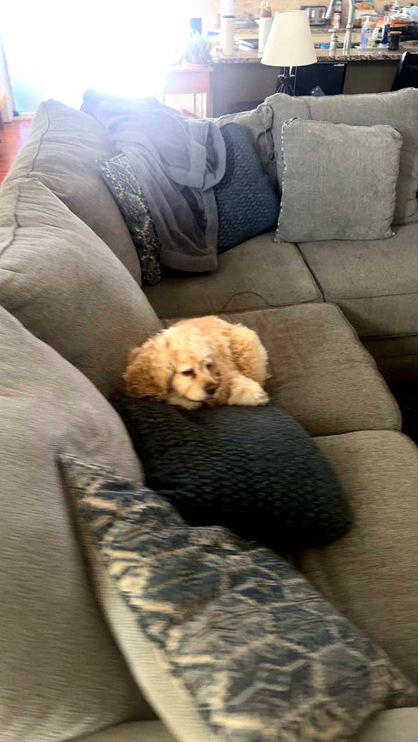 lew12001 image ~ Altpins